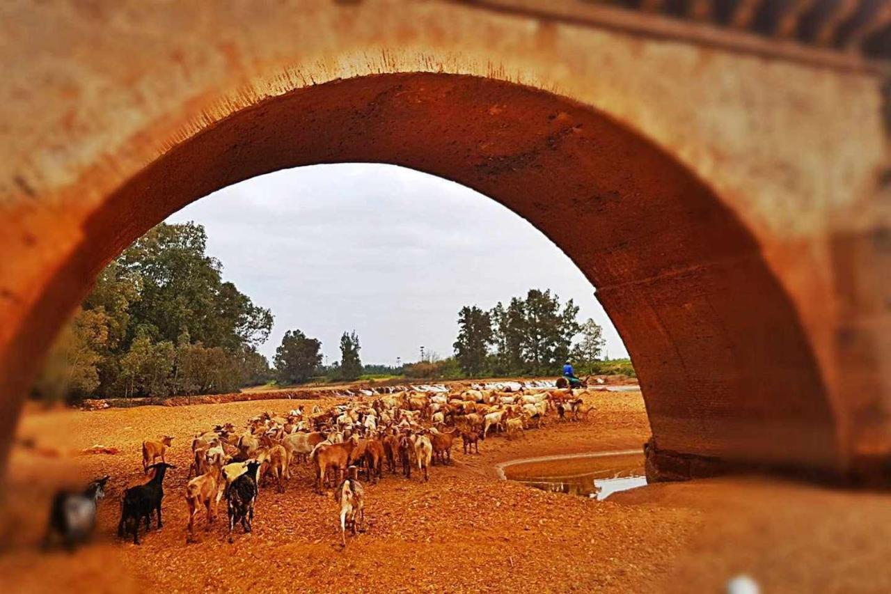 Casa Rural Finca Real De Ньебла Экстерьер фото