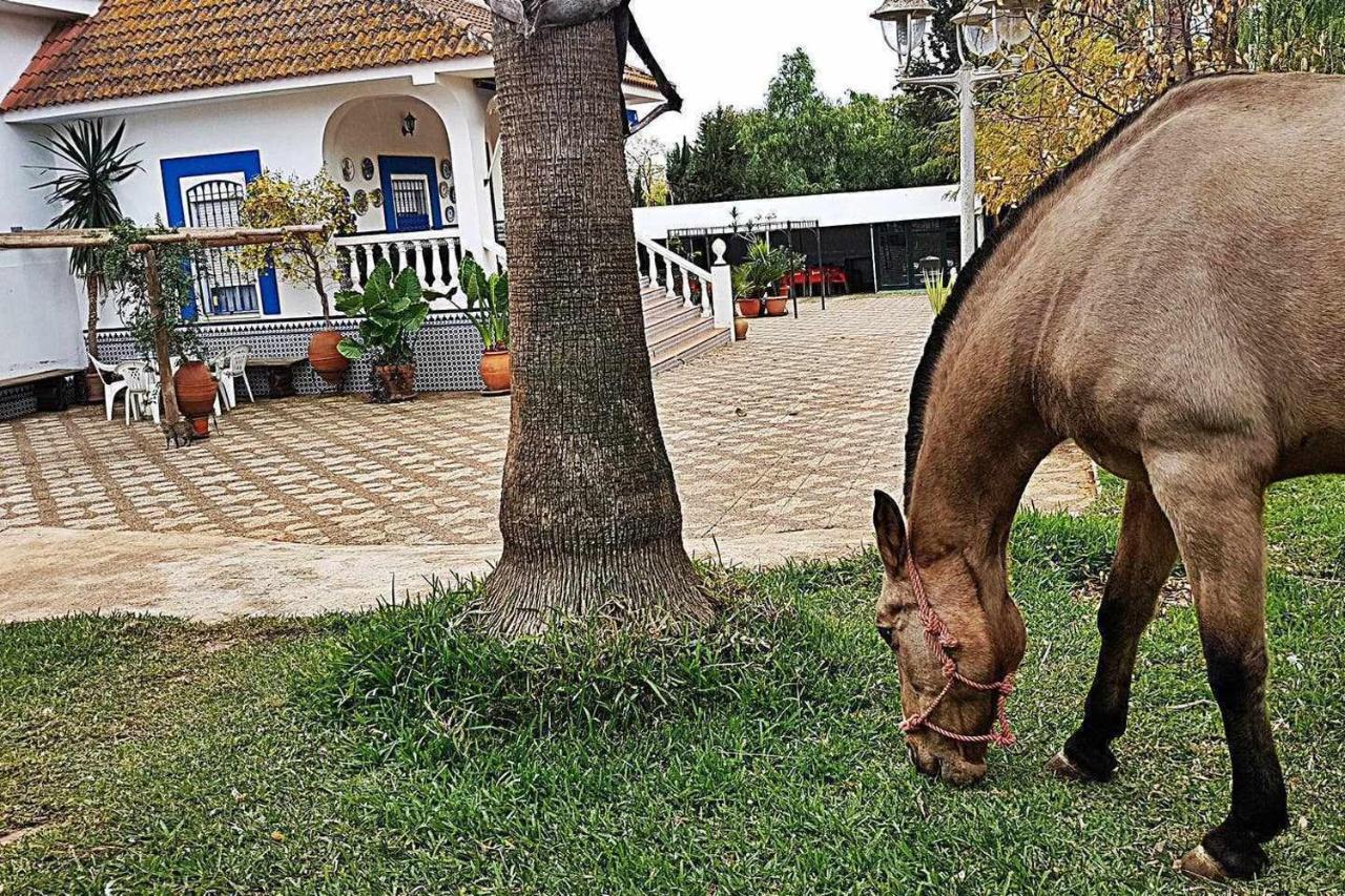 Casa Rural Finca Real De Ньебла Экстерьер фото