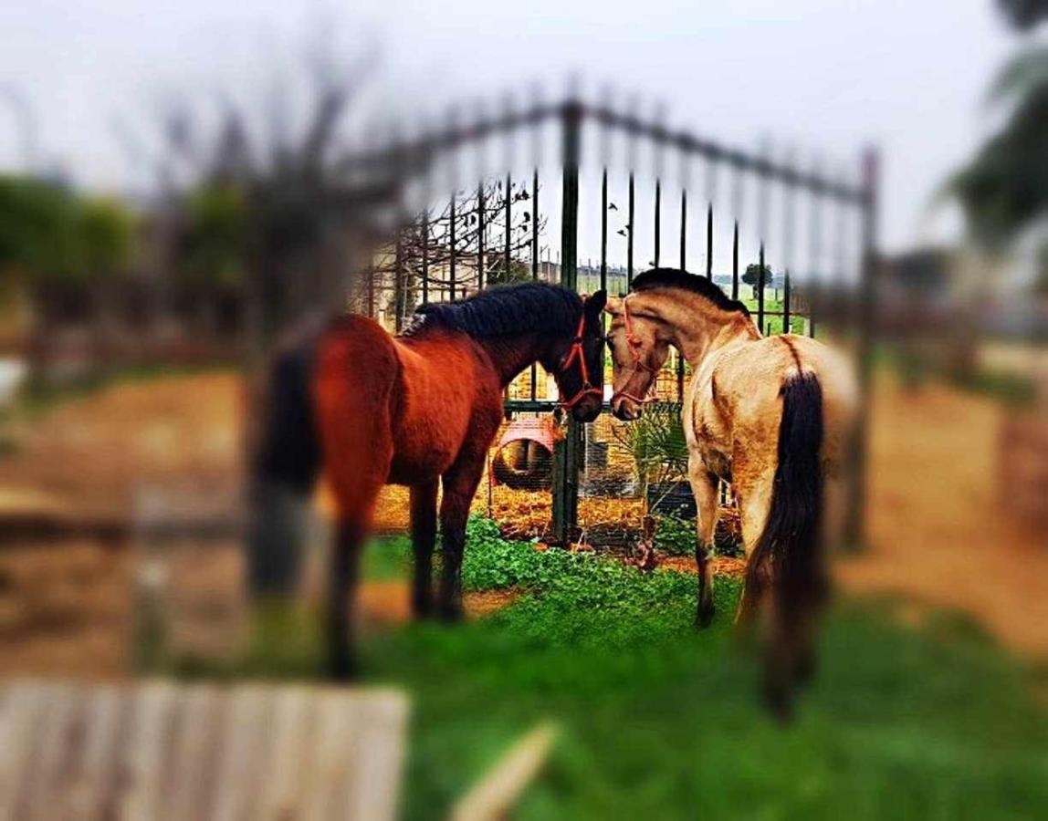 Casa Rural Finca Real De Ньебла Экстерьер фото