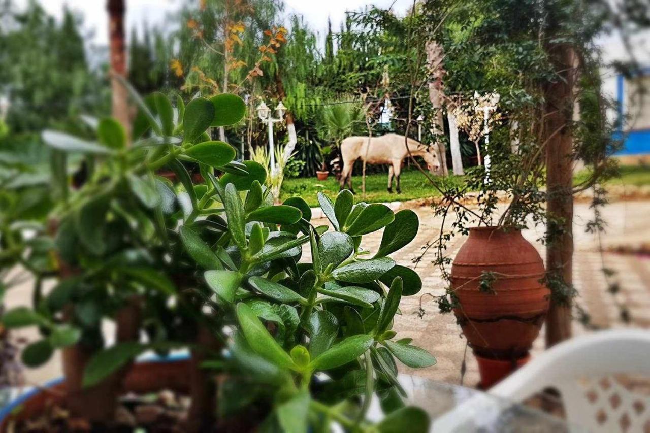 Casa Rural Finca Real De Ньебла Экстерьер фото