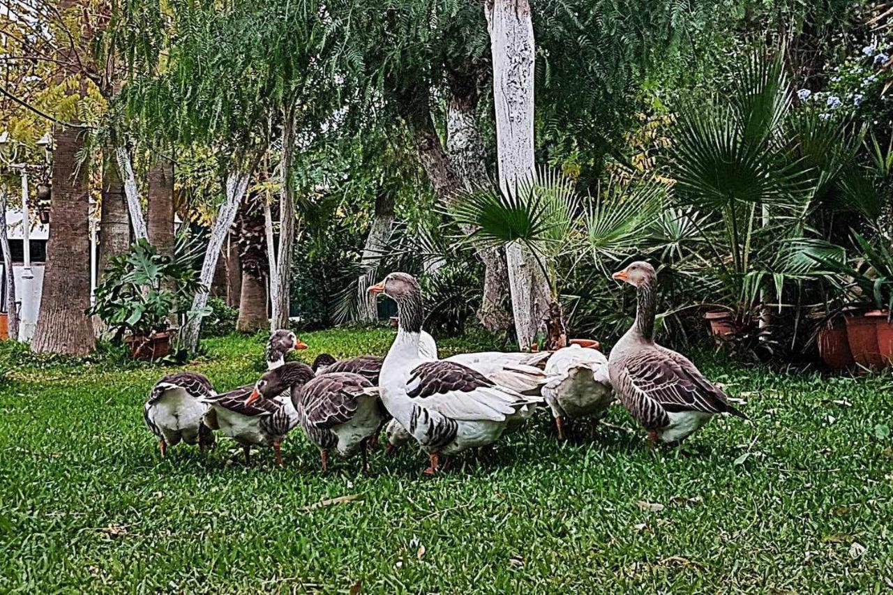 Casa Rural Finca Real De Ньебла Экстерьер фото