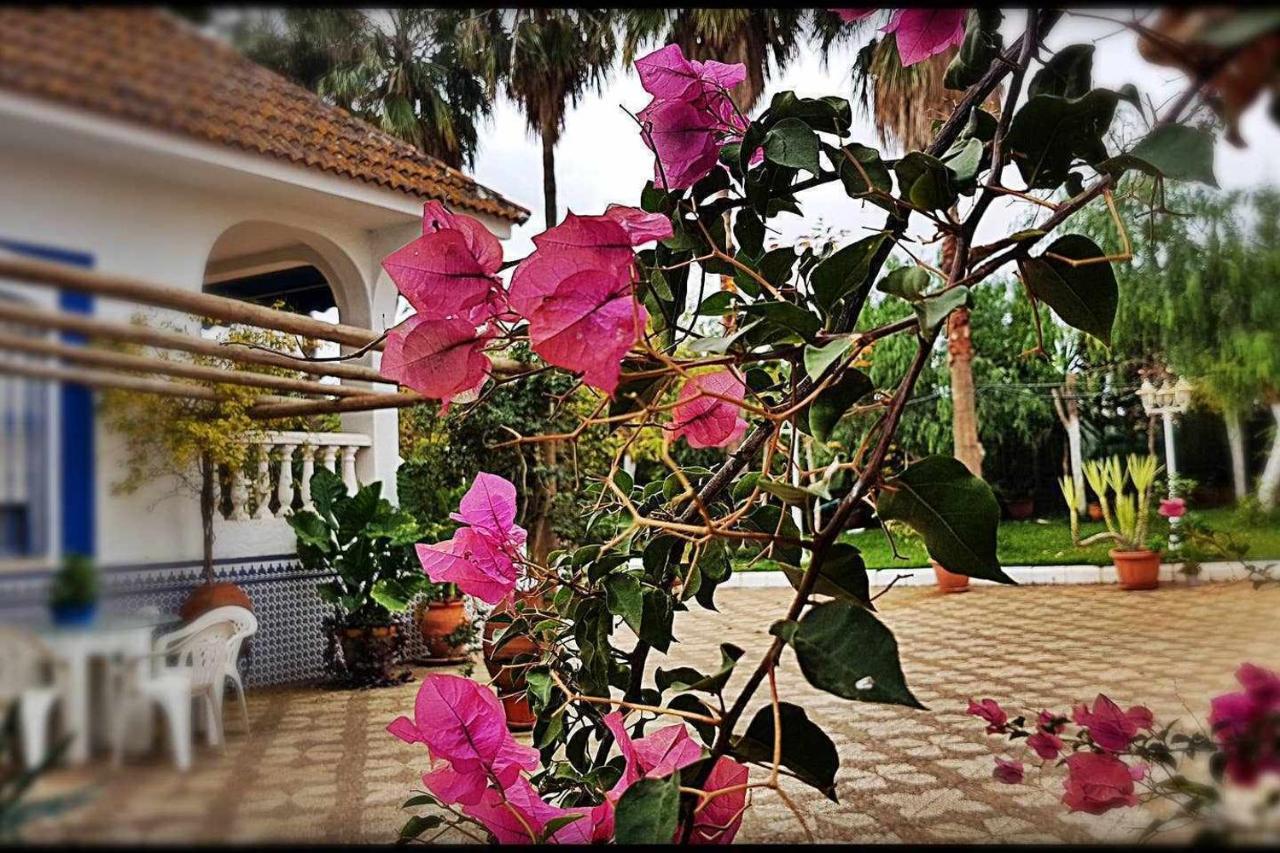 Casa Rural Finca Real De Ньебла Экстерьер фото